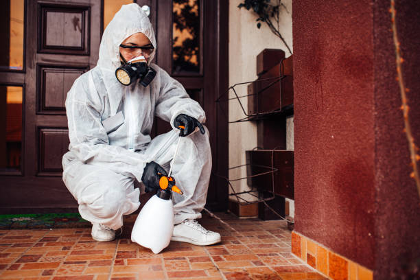 Reliable Rodent Control contractor in East Brady, PA by Nex Pest Control