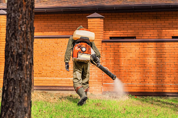 Trusted Rodent Control service in East Brady, PA - Nex Pest Control
